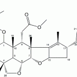 3-Deacetylsalannin