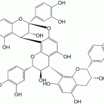 Aesculitannin B