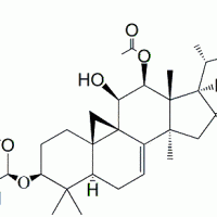 Cimicifugoside H-1 CAS 163046-73-9