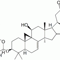 Cimicifugoside H-2 CAS 161097-77-4