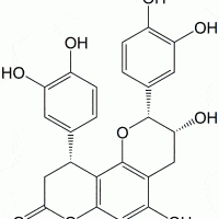Cinchonain Ib 85022-69-1