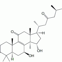 Ganoderic Acid A 81907-62-2