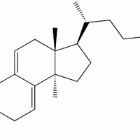 Ganoderic Acid S 104759-35-5