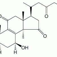 Ganoderic Acid C1 95311-97-0