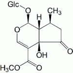 Hastatoside CAS 50816-24-5