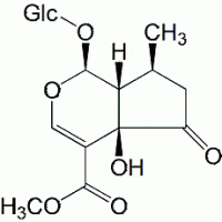 Hastatoside CAS 50816-24-5