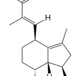 Hydroxyvalerenic Acid CAS 1619-16-5 Planta Analytica reference standard