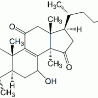 Lucidenic Acid A 95311-94-7