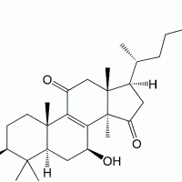Lucidenic Acid N 364622-33-3
