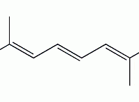 Lycopene CAS 502-65-8