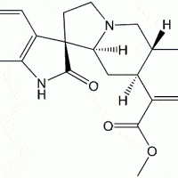 Mitraphylline CAS 509-80-8