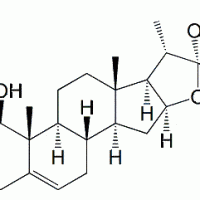 Neoruscogenin CAS 17676-33-4