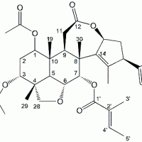 Ohchinolide B CAS 71902-49-3
