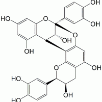 Procyanidin A2 CAS 41743-41-3