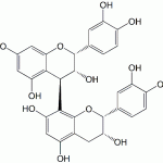 Procyanidin B2 CAS 21906-49-8