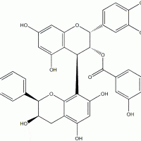 Procyanidin B2-3"-O-gallate