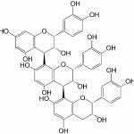 Procyanidin C1 CAS 37064-30-5
