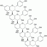 Procyanidin Pentamer E