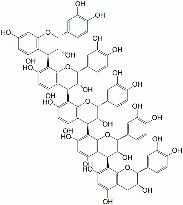 Procyanidin Pentamer E