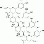 Cinnamtannin A2 86631-38-1