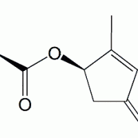 Pyrethrin I CAS 121-21-1