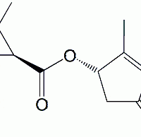 Pyrethrin II CAS 121-29-9