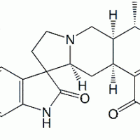 Uncarine C CAS 5629-60-7