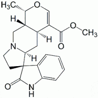 isomitraphylline CAS 4963-01-3