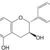 Catechin 18829-70-4