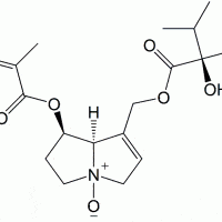 Echiumine N-oxide 685554-68-1