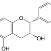 Epicatechin CAS 490-46-0