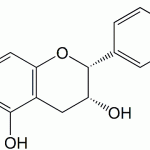 Epicatechin CAS 490-46-0