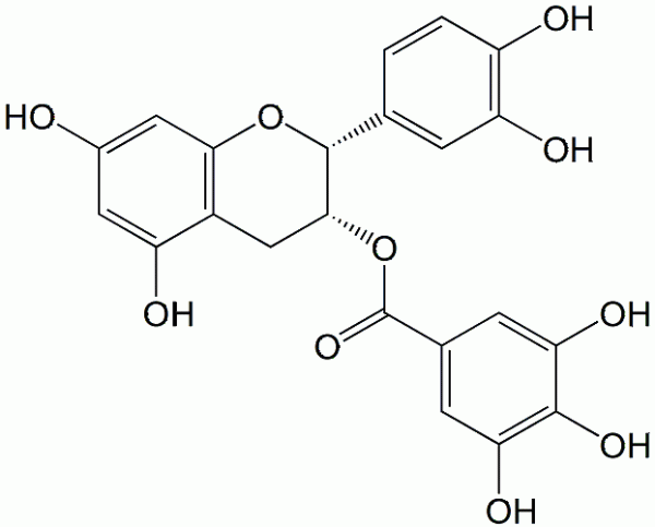 Epicatechin gallate CAS 1257-08-5