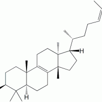 Euphol CAS 514-47-6