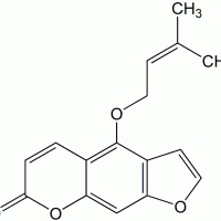 Isoimperatorin CAS 482-45-1