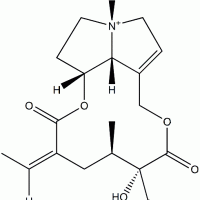 Retrorsine N-Oxide CAS 15503-86-3