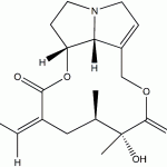 Senecionine CAS 130-01-8
