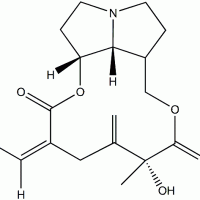 Seneciphylline CAS 480-81-9