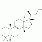 Tirucallol