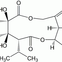 Trichodesmine