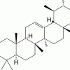 Ursolic Acid