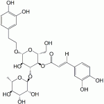 Verbascoside CAS 61276-17-3