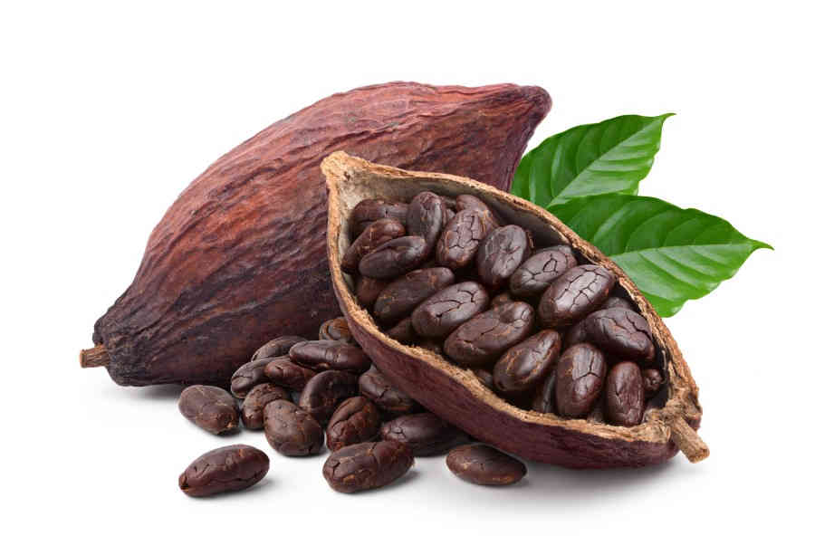 Cocoa Planta Analytica Nutraceutical profiling hplc analysis