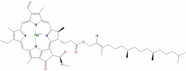 Chlorophyll A Chemical Structure