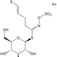 Glucoraphasatin Potassium Salt