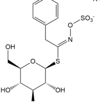 Glucotropaeolin Potassium Salt