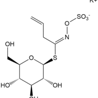 Sinigrin Potassium Salt CAS 3952-98-5